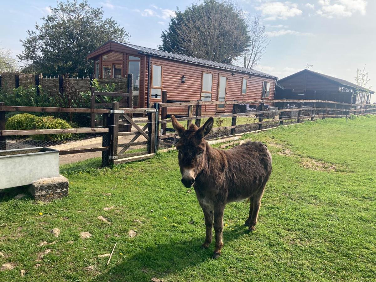 Rew Farm Country And Equestrian Accommodation - Sunset Lodge 멜크샘 외부 사진